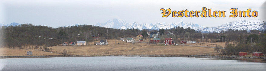 Bebyggelsen i Bogen. Foto: Idar Nilssen.